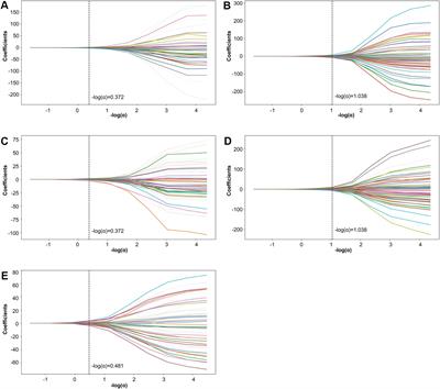 Exploring the most discriminative brain structural abnormalities in ASD with multi-stage progressive feature refinement approach